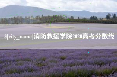 青海消防救援学院2020高考分数线