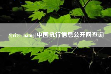 青海中国执行信息公开网查询
