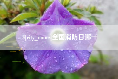 青海全国消防日哪一