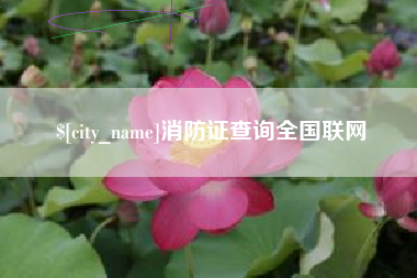 青海消防证查询全国联网