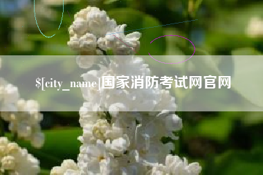 青海国家消防考试网官网