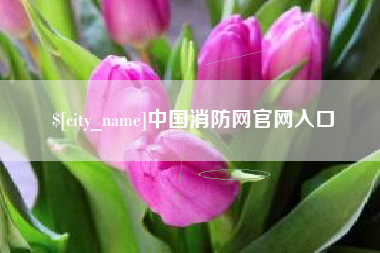 青海中国消防网官网入口