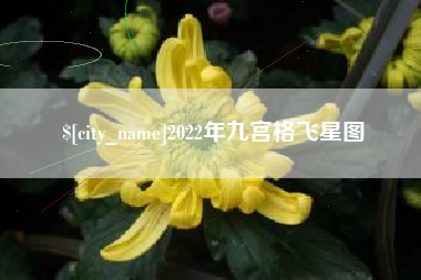青海2022年九宫格飞星图