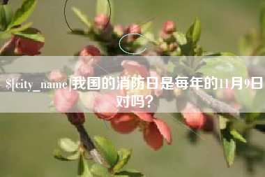 青海我国的消防日是每年的11月9日对吗？