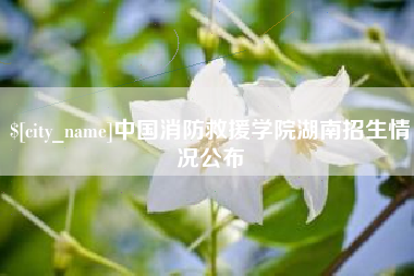 青海中国消防救援学院湖南招生情况公布