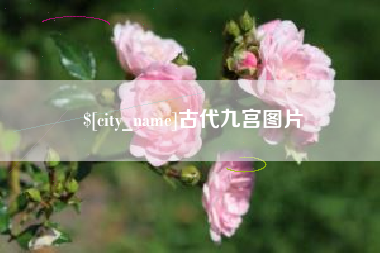 青海古代九宫图片