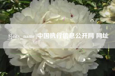 青海中国执行信息公开网 网址