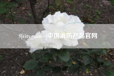 青海中国消防产品官网