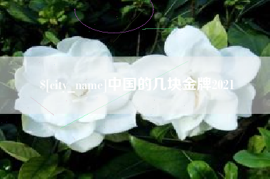 青海中国的几块金牌2021