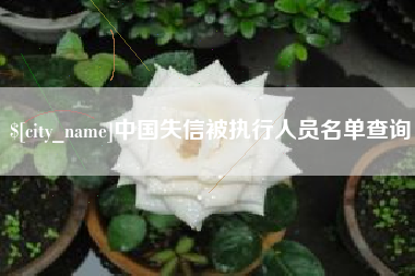青海中国失信被执行人员名单查询