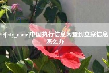 青海中国执行信息网查到立案信息怎么办