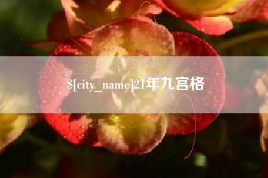 青海21年九宫格