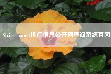 青海执行信息公开网查询系统官网