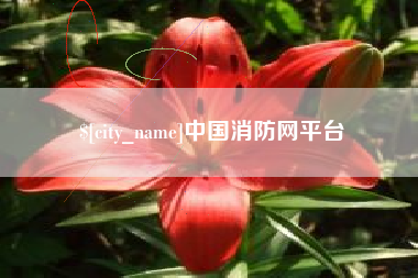 青海中国消防网平台