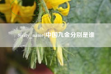 青海中国九金分别是谁