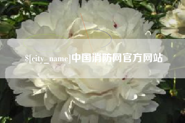 青海中国消防网官方网站