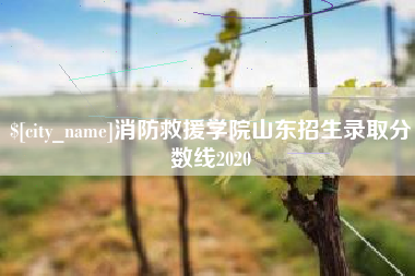 青海消防救援学院山东招生录取分数线2020