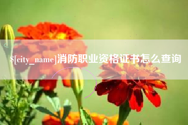 青海消防职业资格证书怎么查询