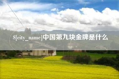 青海中国第九块金牌是什么