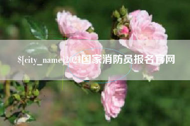 青海2021国家消防员报名官网
