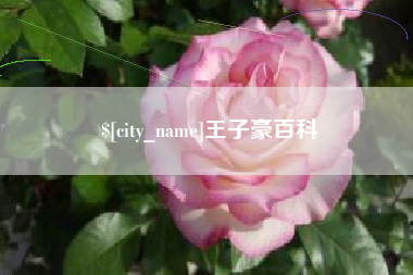 青海王子豪百科