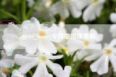 青海中国地图像素版