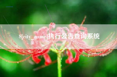 青海执行公告查询系统