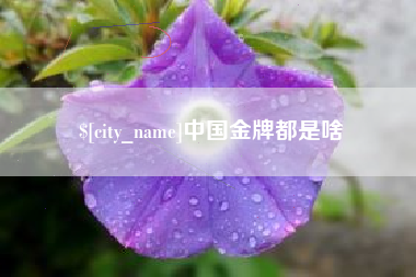 青海中国金牌都是啥