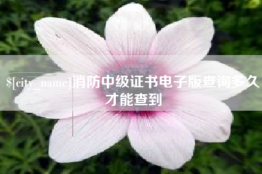 青海消防中级证书电子版查询多久才能查到