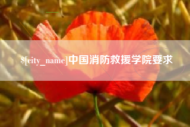 青海中国消防救援学院要求