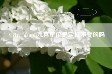 青海九宫星位是定位不变的吗