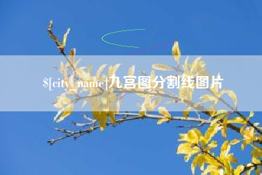 青海九宫图分割线图片