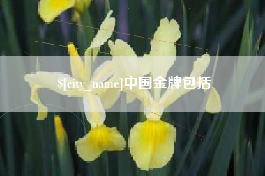 青海中国金牌包括