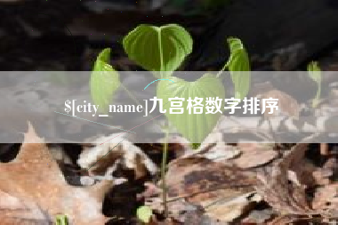 青海九宫格数字排序