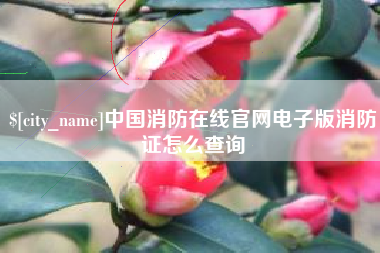 青海中国消防在线官网电子版消防证怎么查询