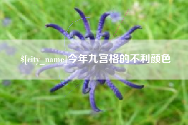 青海今年九宫格的不利颜色