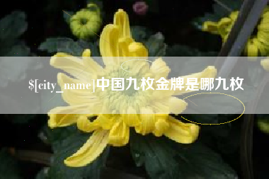 青海中国九枚金牌是哪九枚