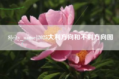 青海2025大利方向和不利方向图