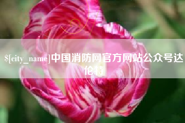 青海中国消防网官方网站公众号达伦特