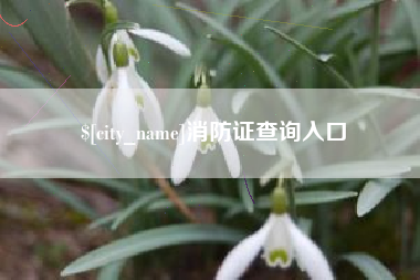 青海消防证查询入口