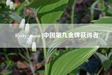 青海中国第九金牌获得者