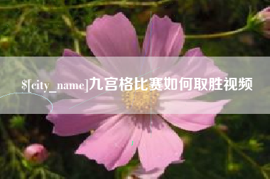 青海九宫格比赛如何取胜视频