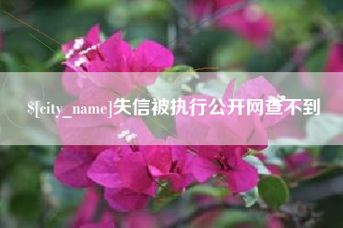青海失信被执行公开网查不到