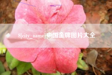 青海中国金牌图片大全