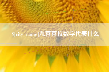 青海九宫宫位数字代表什么