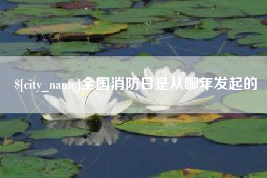 青海全国消防日是从哪年发起的