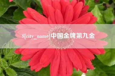 青海中国金牌第九金