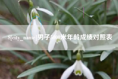 青海男子5000米年龄成绩对照表
