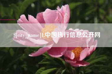 青海1.中国执行信息公开网