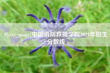 青海中国消防救援学院2024年招生分数线